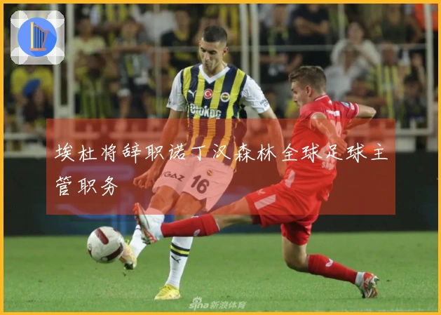 埃杜将辞职诺丁汉森林全球足球主管职务