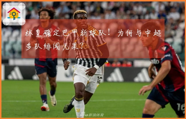 林皇确定巴甲新球队！为何与中超多队绯闻无果？