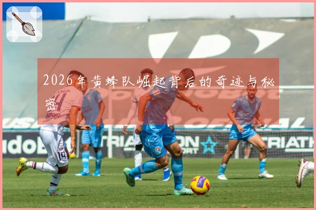 2026年黄蜂队崛起背后的奇迹与秘密