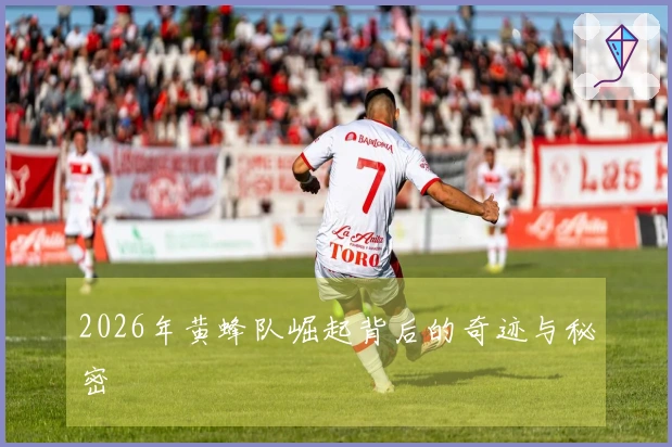 2026年黄蜂队崛起背后的奇迹与秘密